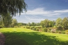 west_blumen_klein