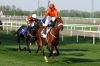 magna-racino-web-pics-2