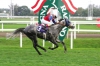 magna-racino-web-pics-3