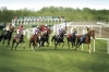 magna-racino-web-pics-5