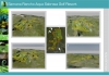 samana-golf-resort-5