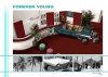 vip_2_13_cadillac